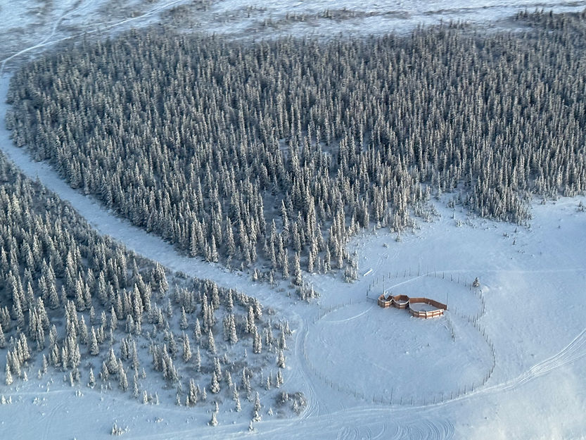 Winter Adventure Tours