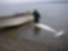 Beluga Whale Hunting