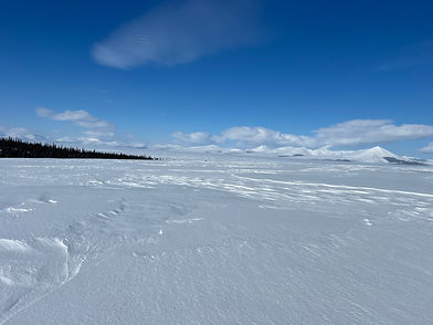 Winter Adventure Tours in Alaska