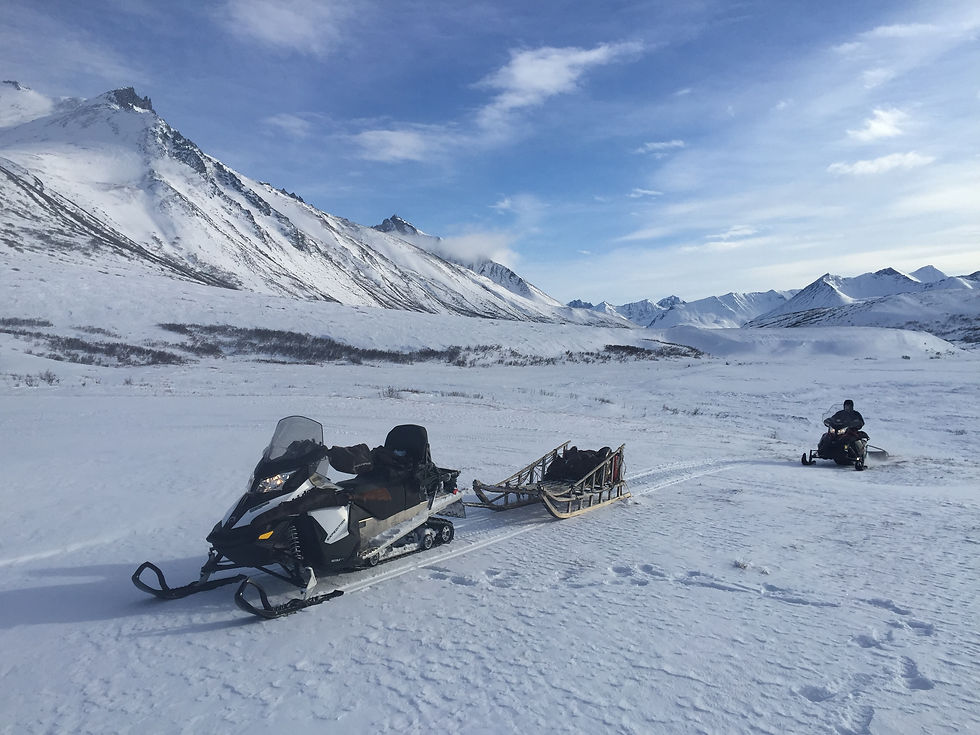 Iditarod Race Experience