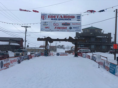 Iditarod Race Experience