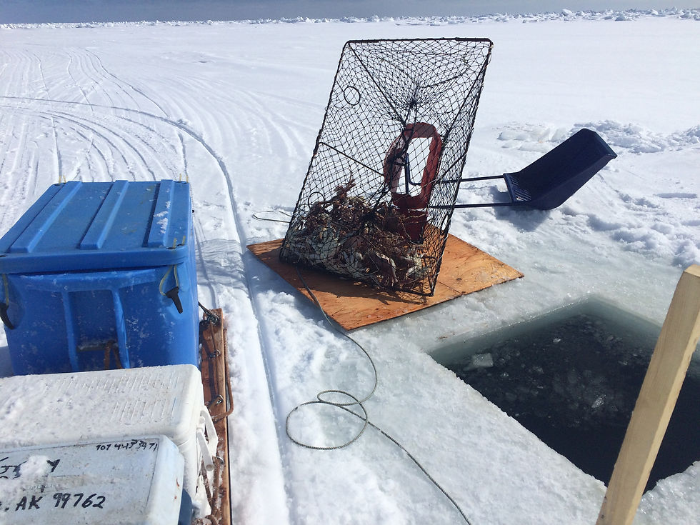 King Crab Fishing in Alaska