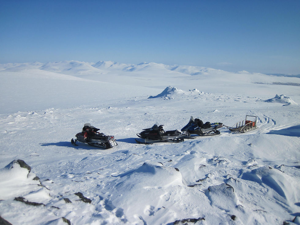 Iditarod Race Experience
