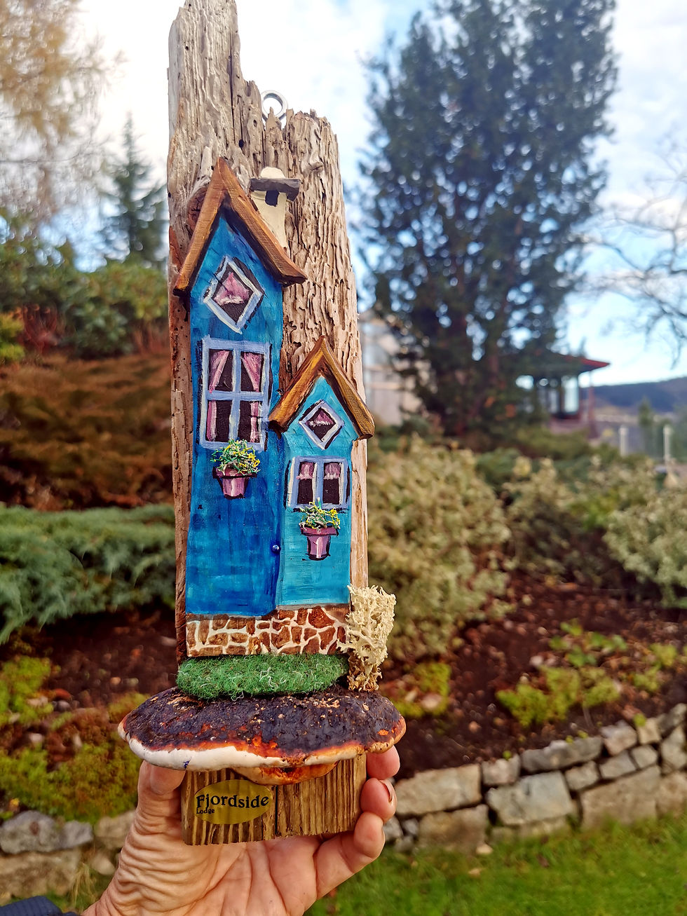 Fjordsidehus 61 Kr.800