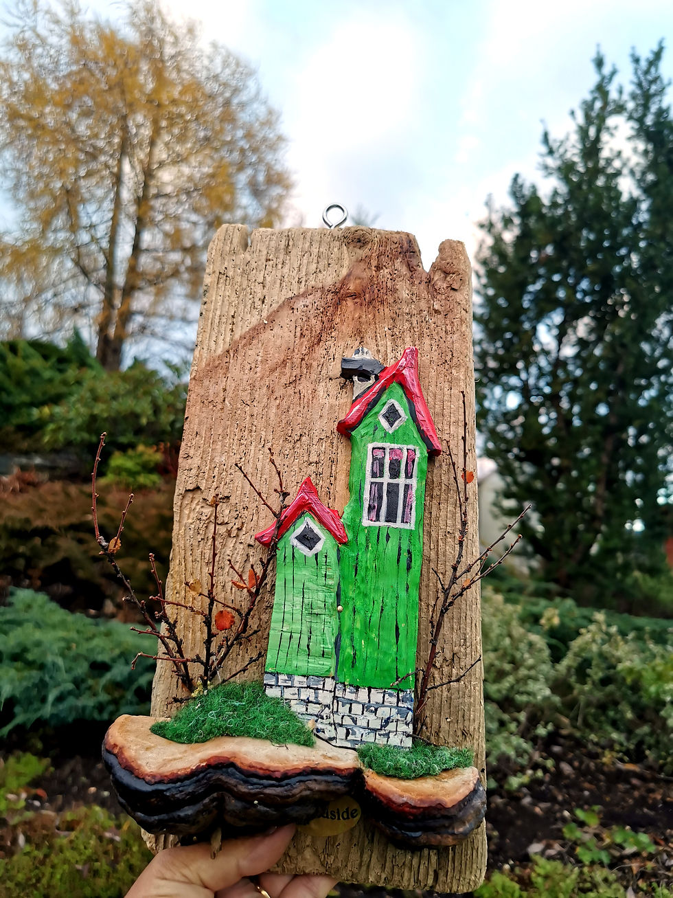 Fjordsidehus 28 Kr.650