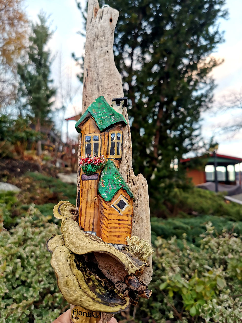 Fjordsidehus 49 Kr.800