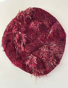 TTS 01.02.2025 4 - Liesbet Braeckman.JPG