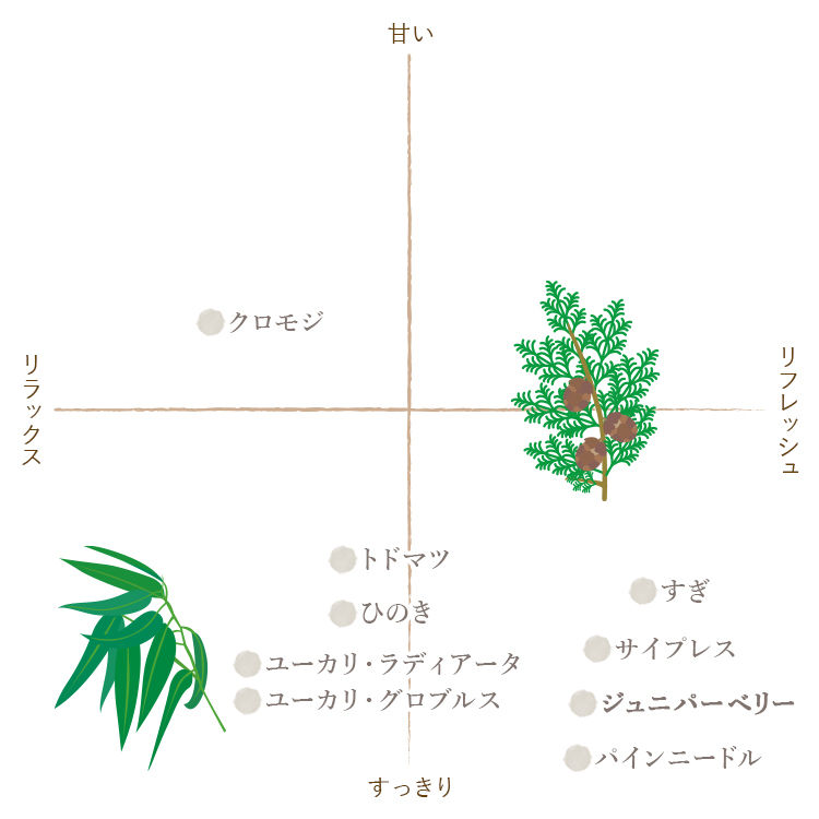 サムネイル： ジュニパーべリー