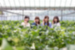 いちご狩り_女4人-min.jpeg