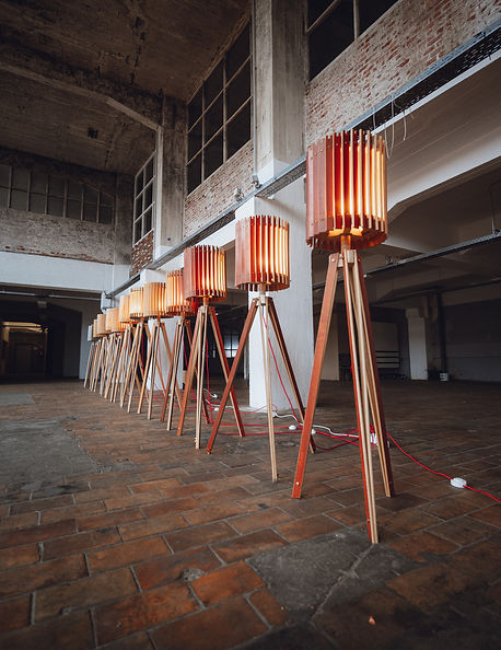 ROVER (29 van 96).jpg