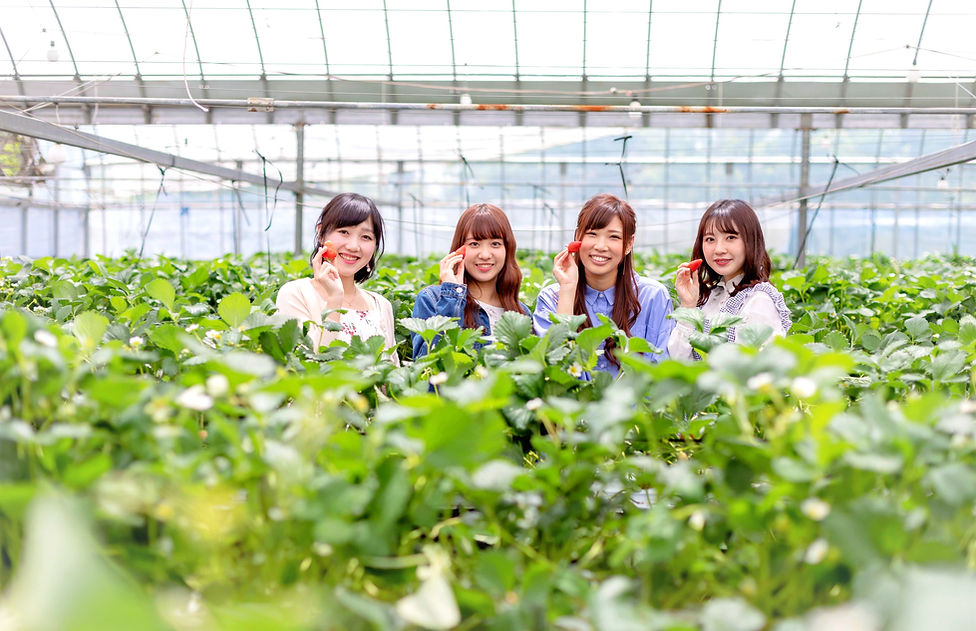 いちご狩り_女4人-min_edited.jpg