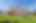 csm_LeoBe_Liemberg_neu_4fec92983a (1).png