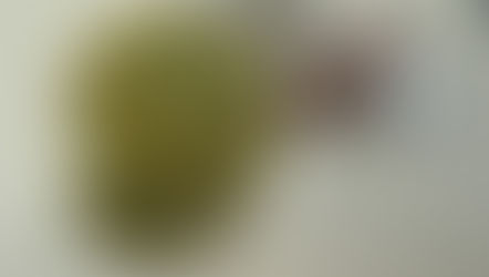 Matcha meets Manuka – a delicious new twist!