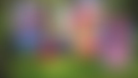 Keeping cool, in Quarantine. 