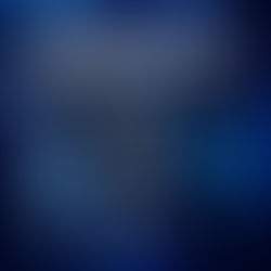 Transferência por cessão de marca registrada