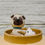 Thumbnail: Dim Sum Dog Cake