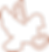 Ativo 6.png