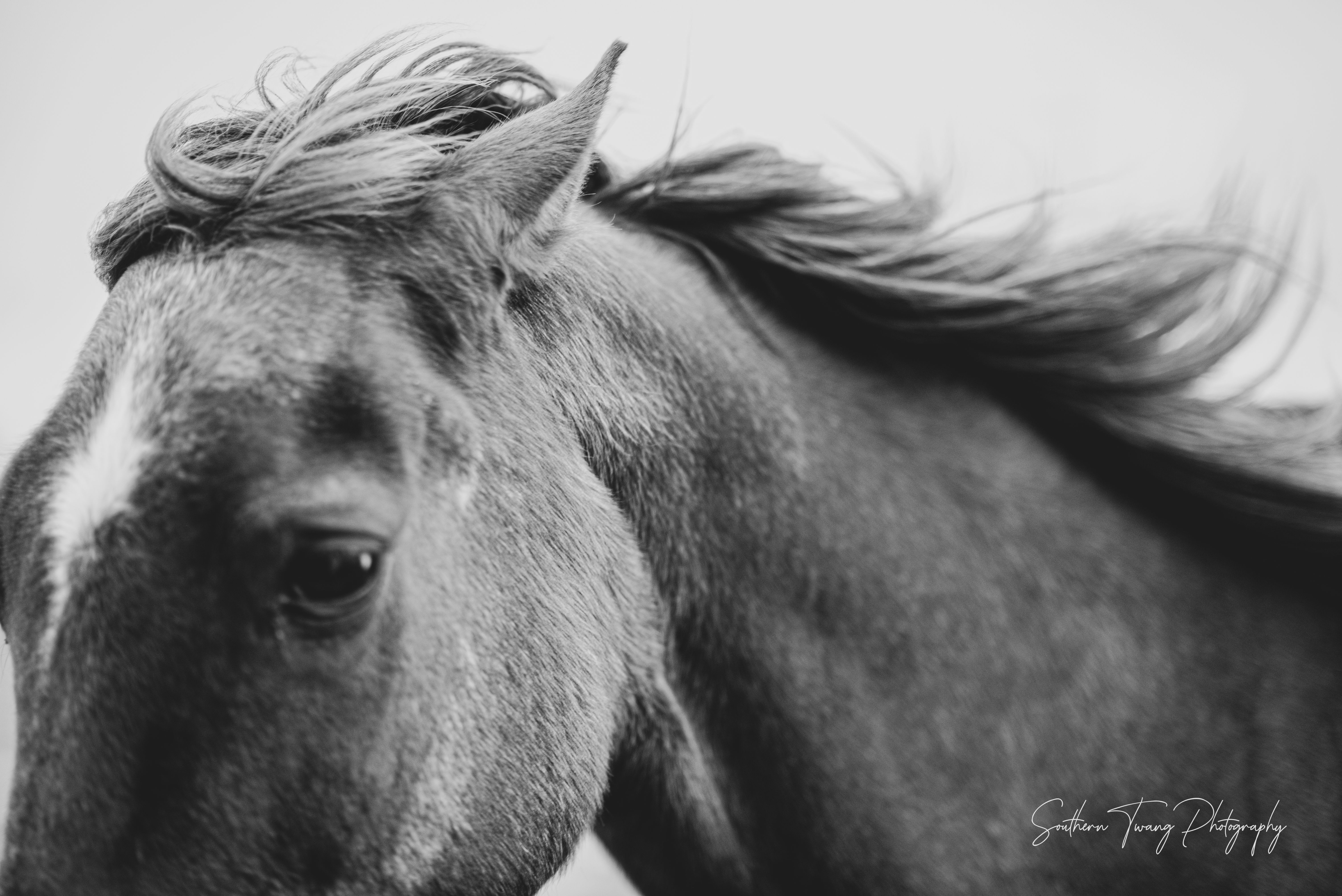 Teensie, The OG of STSCR