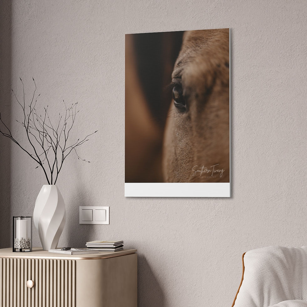 Thumbnail: June- Blind Horse Portrait