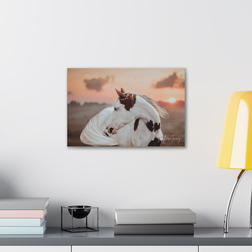 Thumbnail: Canvas Gallery Wraps