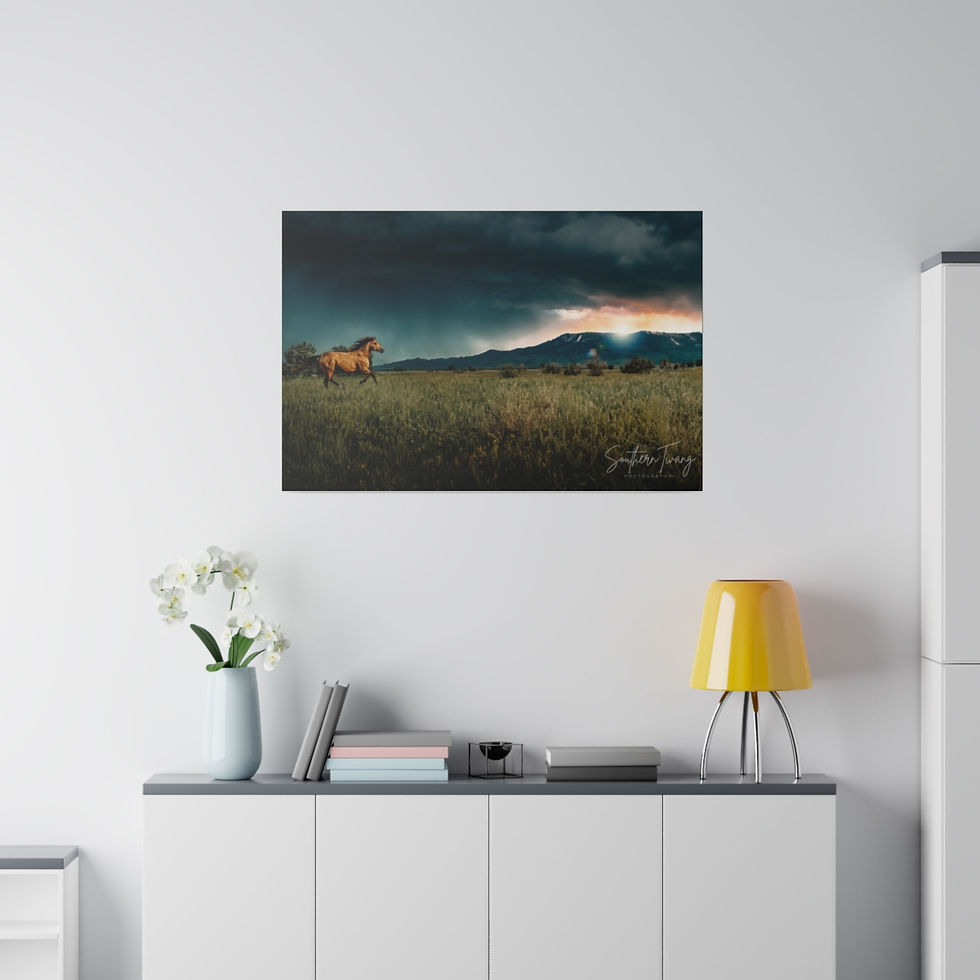Thumbnail: Wild Horse Canvas Print