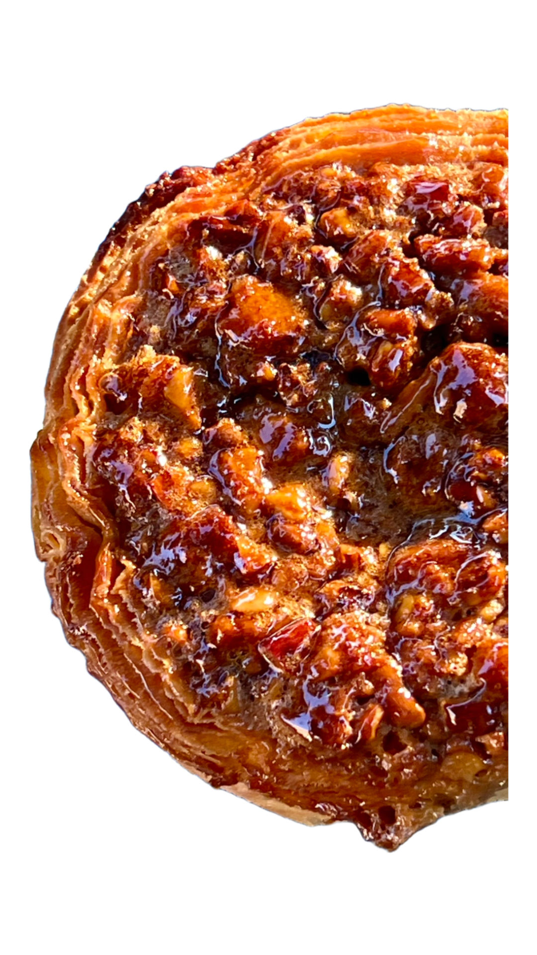Galette du Noix