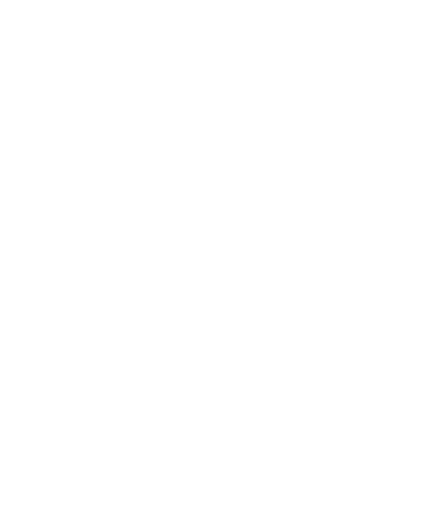 lemonaky-icon-white.webp