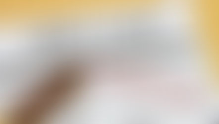 The Truth Disaster SBA LOANS