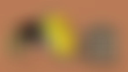 HOW TO MAINTAIN YOUR LLC'S CORPORATE VEIL