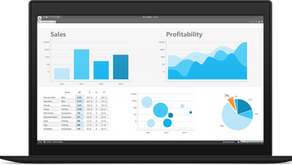 The Importance of Business Monitoring and Reporting