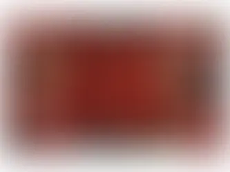 Q&A With Our Graphic Designer, Tara! 