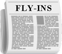 FLYINS.jpg