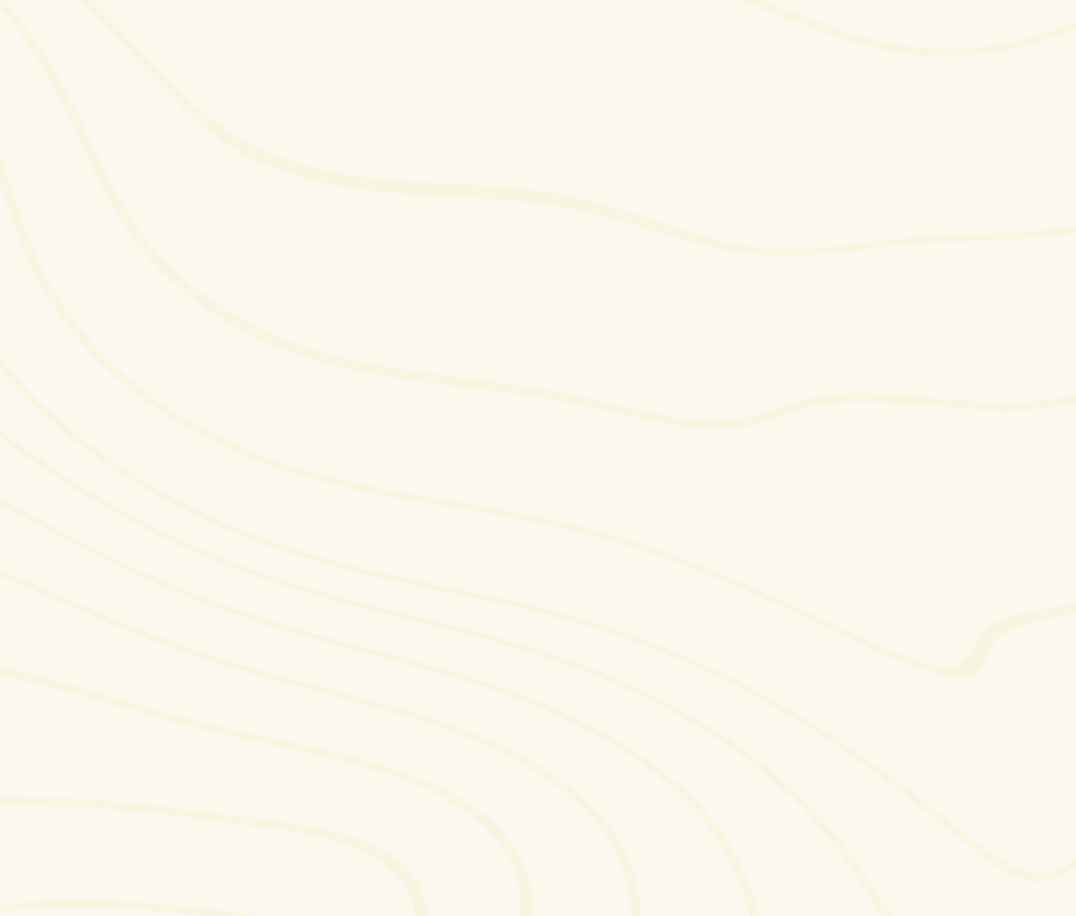 v01-lines-57.png
