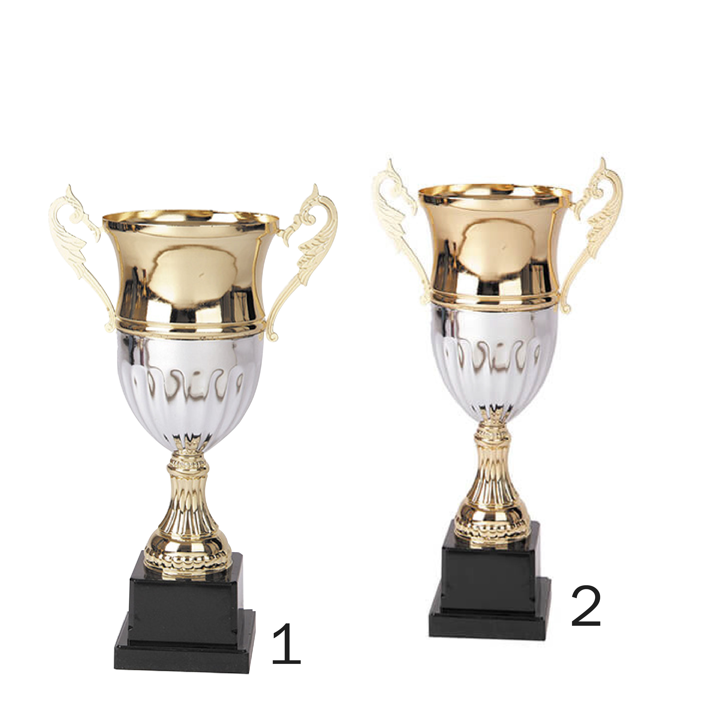 ICO2005- Trofeo con placa (valor neto) desde: