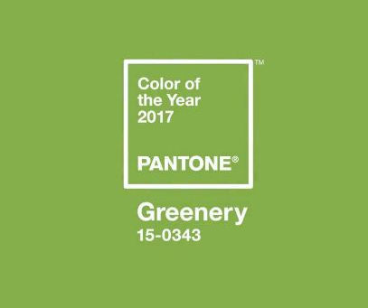 2017: Greenery ist die Farbe des Jahres