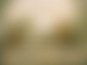 More Animal Books to Spark a Love of Nature