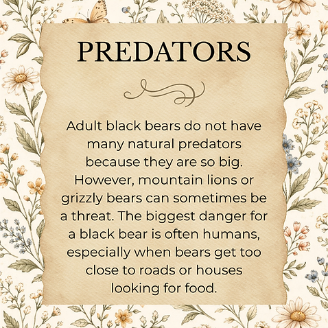 AM Predators.png