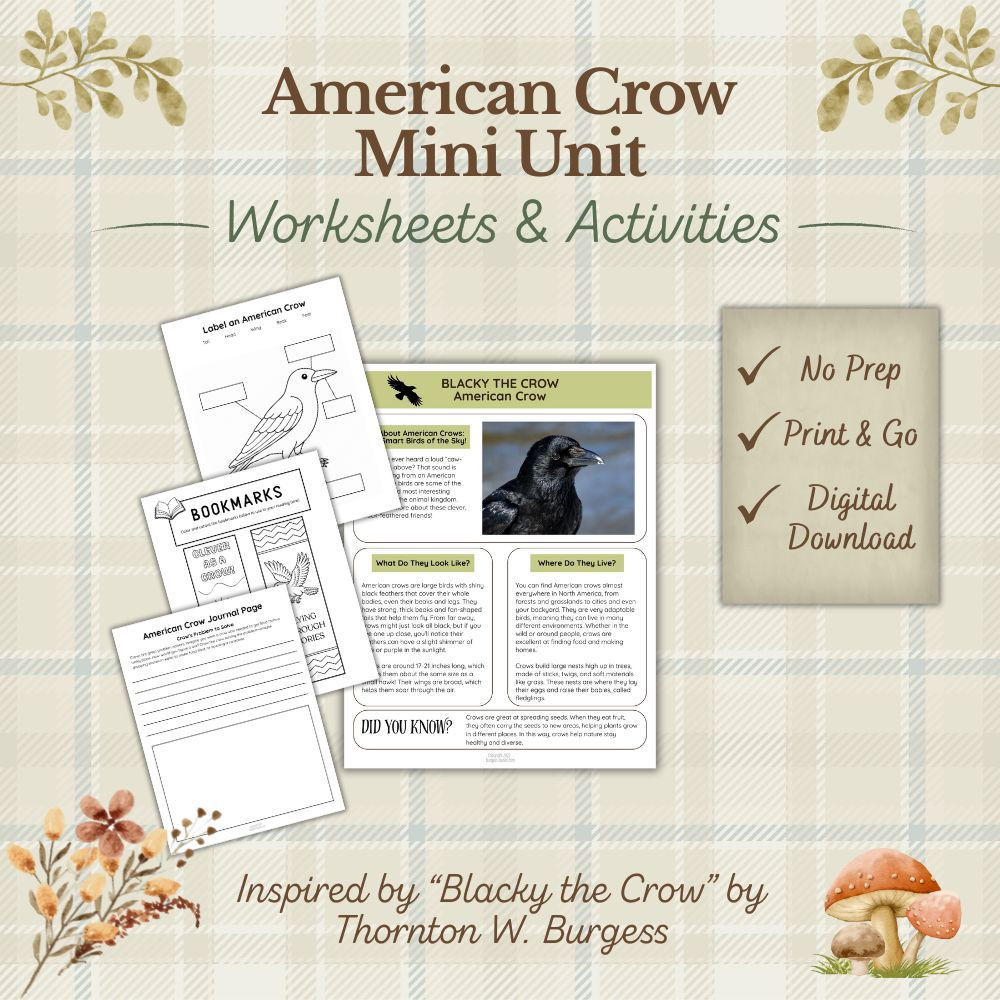 American Crow Mini Unit: Worksheets, Activities, & Printables