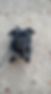 15027443_562535443935883_2633303109195995341_n.jpeg