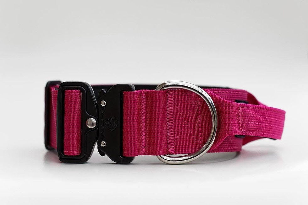 Thumbnail: Dog Collars