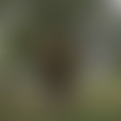 因水逆期間發生的車禍而延伸出的有趣探索