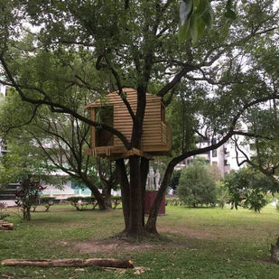 因水逆期間發生的車禍而延伸出的有趣探索