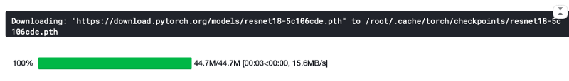 Image by author : Loading the ResNet18