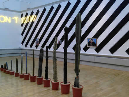 Pottery gallery & Martin Creed exhibition at the Harris Museum