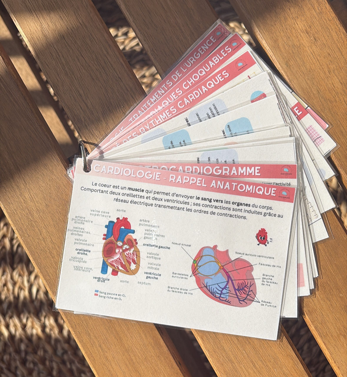PACK CARDIOLOGIE 🫀