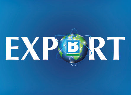 Export logo