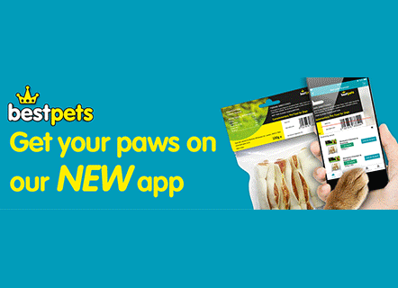 BW00284_BP_APP_TGM_SECOND_MESS_300x100.g