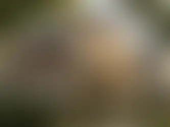 Rhode Island Small Multi Family Investment Risks: Top 10 Factors That Can Sink Your Project