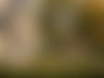 Rhode Island ADU Laws: A 2026 Opportunity Explained