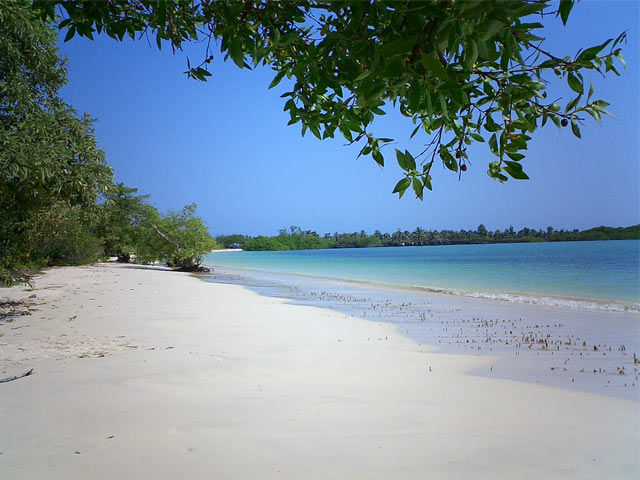 Tortuga-Bay--drive-elegidas-ecuador-trav